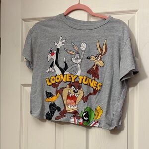 Warner Bros. Girls Gray Cropped Gray Kids T-Shirt